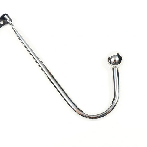 Leash Hook Collar and Kinky with EverydayUse 5853 Anal 0808